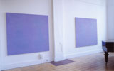 Richard Salmon Gallery