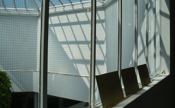 White Window Trust