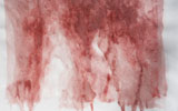 Video still