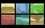 Video still