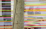 Video still