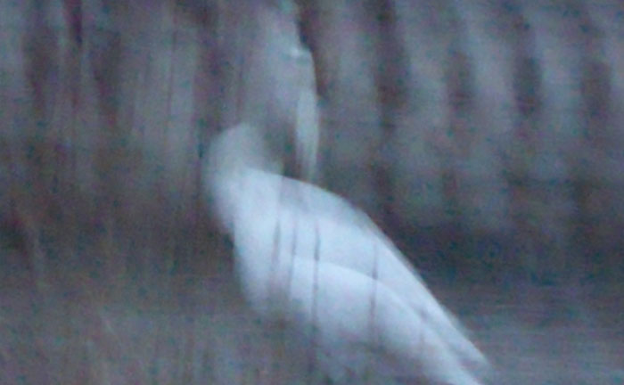 Video still