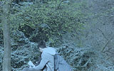 Video still