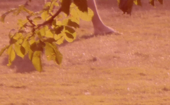 Video still