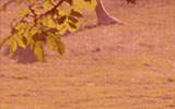 Video still