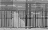 Video still