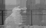 Video still