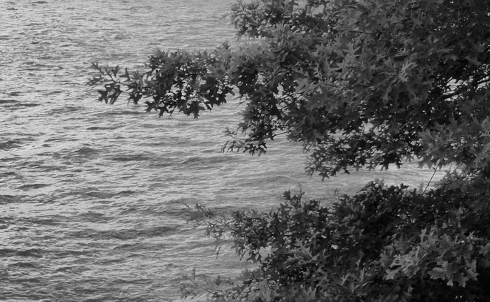 Video still