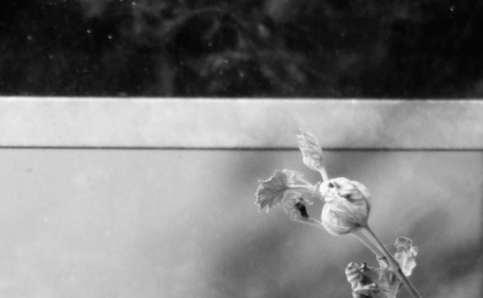 Video still