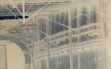Video still