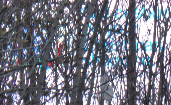 Video still