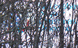Video still