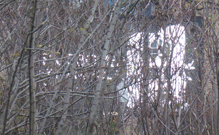 Video still