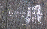 Video still